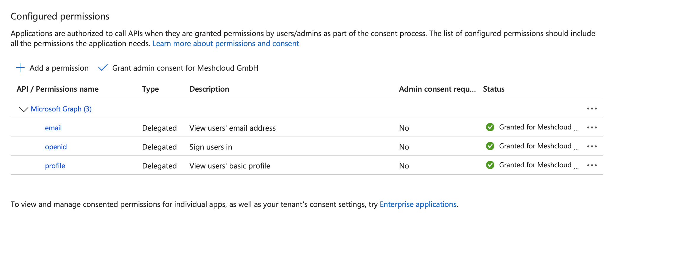 Provide OpenID Connect scopes
